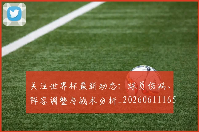 关注世界杯最新动态：球员伤病、阵容调整与战术分析_20260611165339